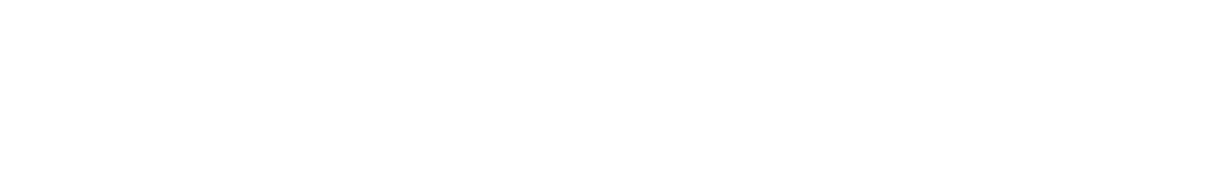 Technology & Business Solutions